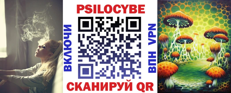 Псилоцибиновые грибы Cubensis  Купить  Бородино 